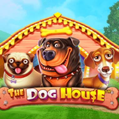  n1 casino doghouse